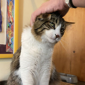 Meet your Posher, Emmanoelle